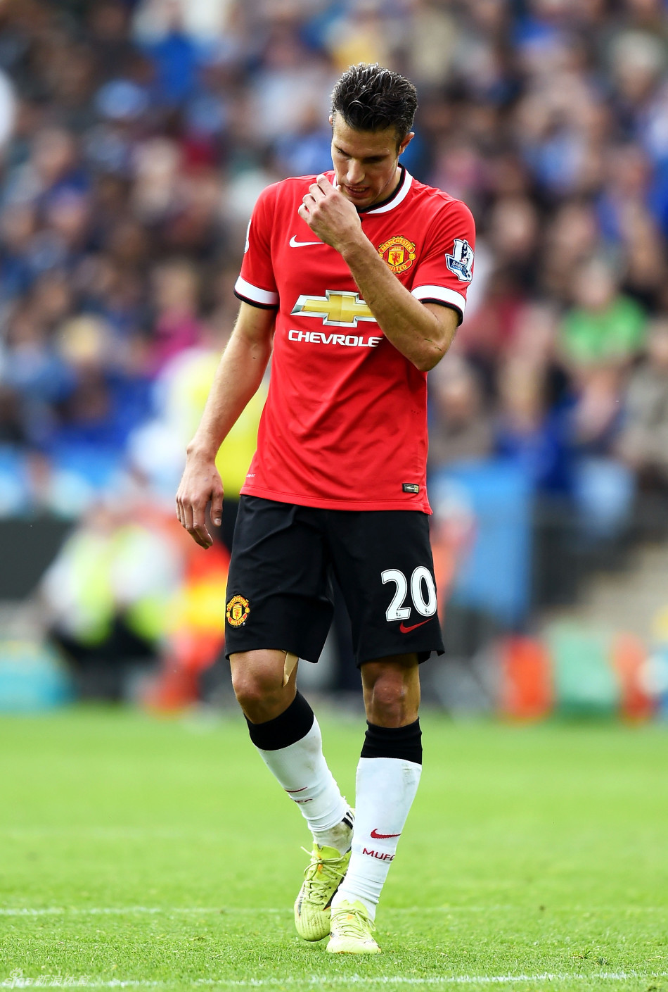 IGT与FanDuel续签体育博彩技术协议